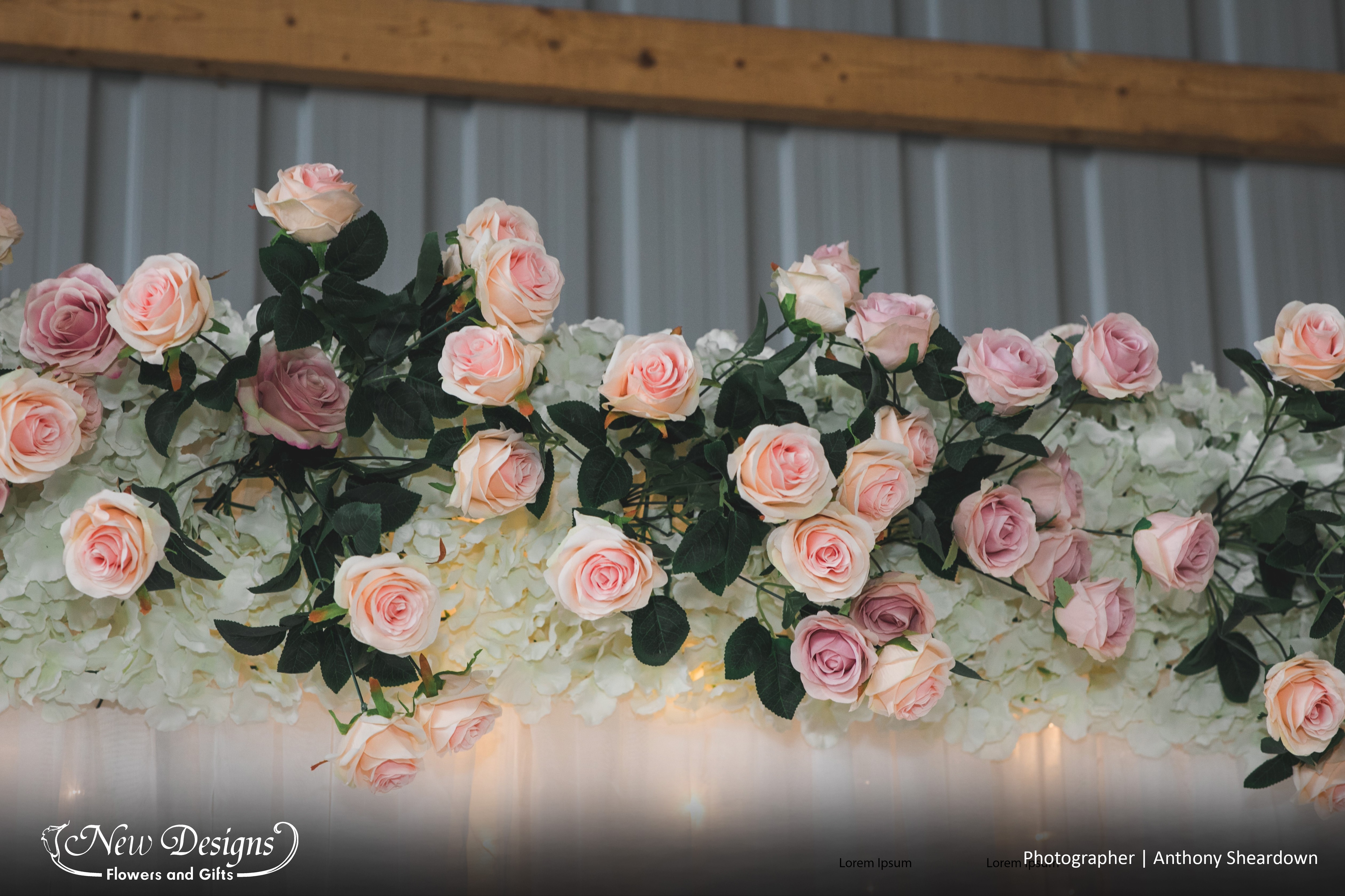 A Close up of Wild scattered Blush Rose Installments exploding around the top bar of a wedding arch